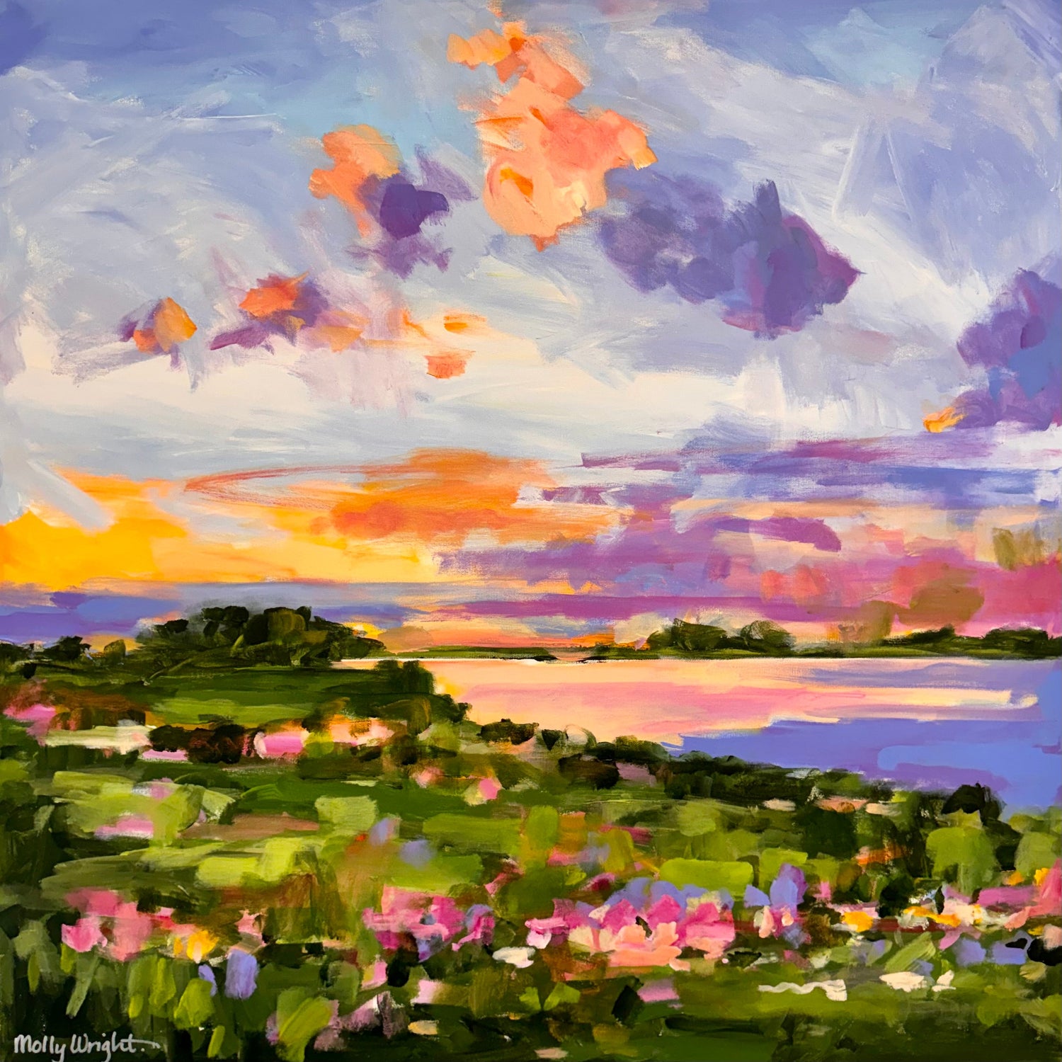 The Solace Collection